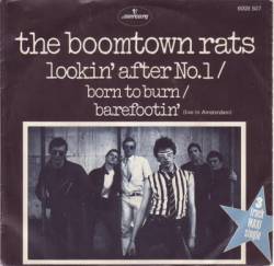 The Boomtown Rats : Lookin' After No.1